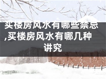 买楼房风水有哪些禁忌,买楼房风水有哪几种讲究