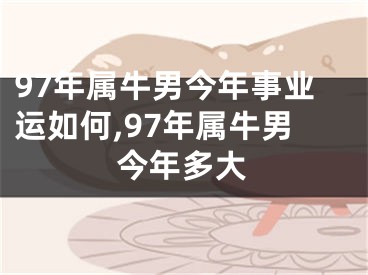 97年属牛男今年事业运如何,97年属牛男今年多大