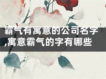 霸气有寓意的公司名字,寓意霸气的字有哪些