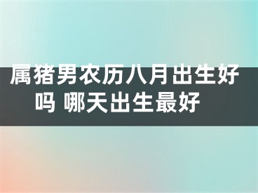 属猪男农历八月出生好吗 哪天出生最好
