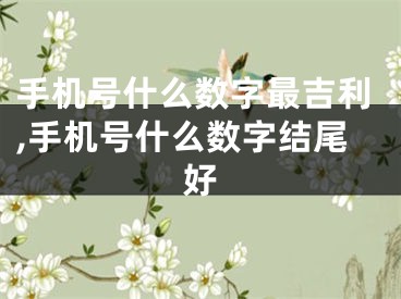 手机号什么数字最吉利,手机号什么数字结尾好