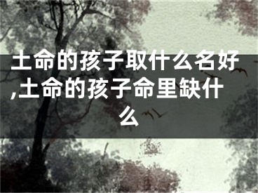 土命的孩子取什么名好,土命的孩子命里缺什么