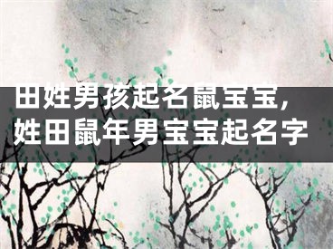 田姓男孩起名鼠宝宝,姓田鼠年男宝宝起名字