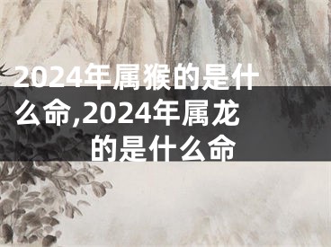 2024年属猴的是什么命,2024年属龙的是什么命
