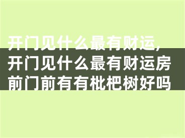 开门见什么最有财运,开门见什么最有财运房前门前有有枇杷树好吗