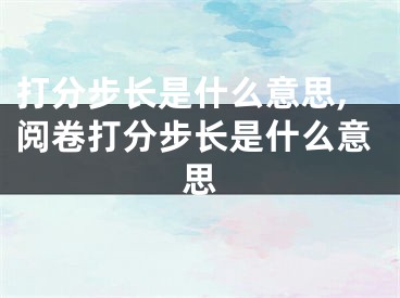 打分步长是什么意思,阅卷打分步长是什么意思