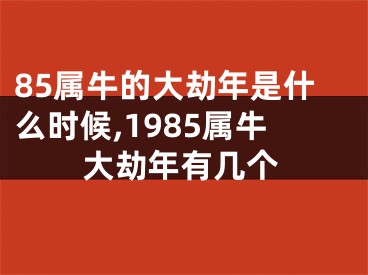 85属牛的大劫年是什么时候,1985属牛大劫年有几个