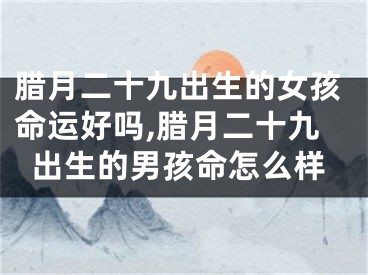 腊月二十九出生的女孩命运好吗,腊月二十九出生的男孩命怎么样