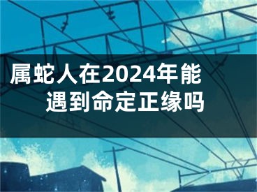 属蛇人在2024年能遇到命定正缘吗