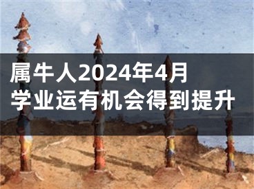 属牛人2024年4月学业运有机会得到提升