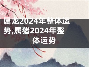属龙2024年整体运势,属猪2024年整体运势
