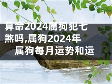 算命2024属狗犯七煞吗,属狗2024年属狗每月运势和运