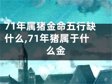 71年属猪金命五行缺什么,71年猪属于什么金
