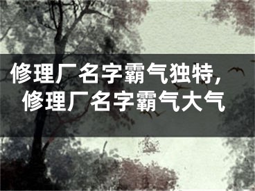 修理厂名字霸气独特,修理厂名字霸气大气