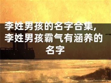 李姓男孩的名字合集,李姓男孩霸气有涵养的名字