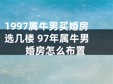 1997属牛男买婚房选几楼 97年属牛男婚房怎么布置