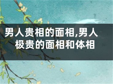 男人贵相的面相,男人极贵的面相和体相