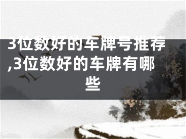 3位数好的车牌号推荐,3位数好的车牌有哪些