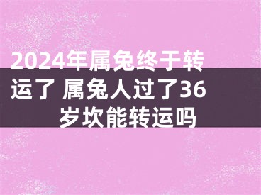 2024年属兔终于转运了 属兔人过了36岁坎能转运吗