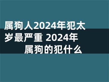 属狗人2024年犯太岁最严重 2024年属狗的犯什么