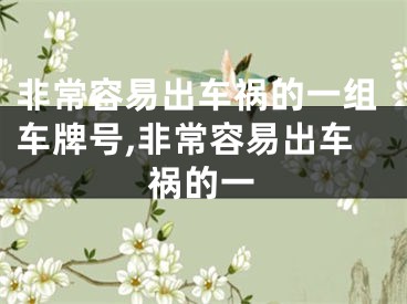 非常容易出车祸的一组车牌号,非常容易出车祸的一