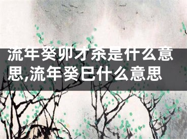 流年癸卯才杀是什么意思,流年癸巳什么意思