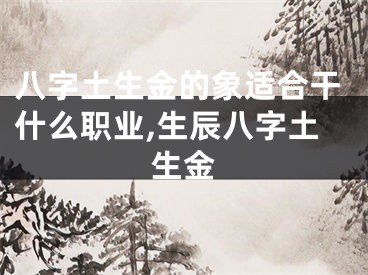 八字土生金的象适合干什么职业,生辰八字土生金