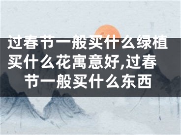 过春节一般买什么绿植买什么花寓意好,过春节一般买什么东西