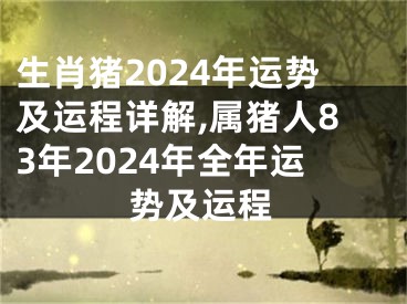 生肖猪2024年运势及运程详解,属猪人83年2024年全年运势及运程