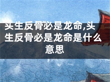 头生反骨必是龙命,头生反骨必是龙命是什么意思
