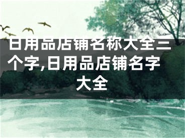 日用品店铺名称大全三个字,日用品店铺名字大全