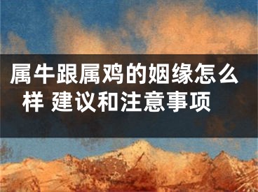 属牛跟属鸡的姻缘怎么样 建议和注意事项