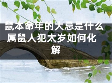 鼠本命年的大忌是什么 属鼠人犯太岁如何化解