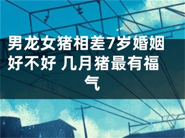 男龙女猪相差7岁婚姻好不好 几月猪最有福气