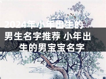 2024年小年出生的男生名字推荐 小年出生的男宝宝名字