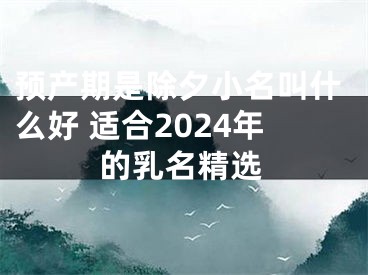 预产期是除夕小名叫什么好 适合2024年的乳名精选