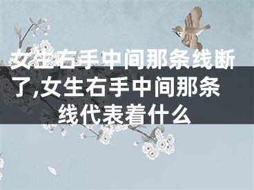 女生右手中间那条线断了,女生右手中间那条线代表着什么