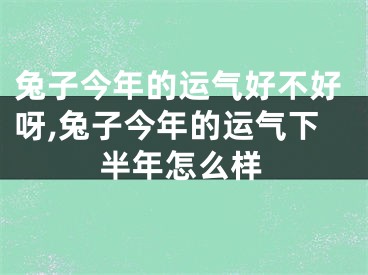 兔子今年的运气好不好呀,兔子今年的运气下半年怎么样