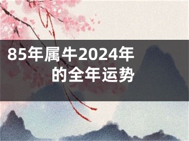 85年属牛2024年的全年运势