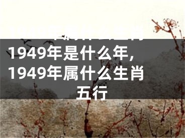 1949年属什么生肖1949年是什么年,1949年属什么生肖五行