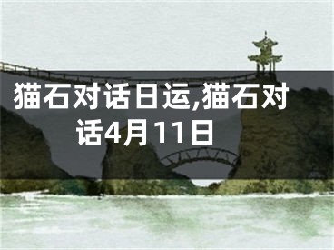 猫石对话日运,猫石对话4月11日