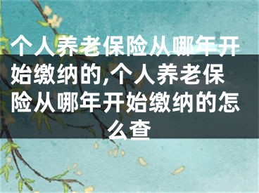 个人养老保险从哪年开始缴纳的,个人养老保险从哪年开始缴纳的怎么查