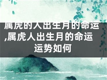 属虎的人出生月的命运,属虎人出生月的命运运势如何