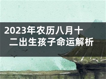 2023年农历八月十二出生孩子命运解析