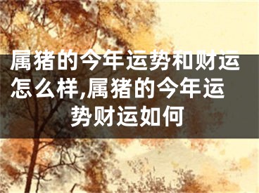属猪的今年运势和财运怎么样,属猪的今年运势财运如何