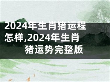 2024年生肖猪运程怎样,2024年生肖猪运势完整版