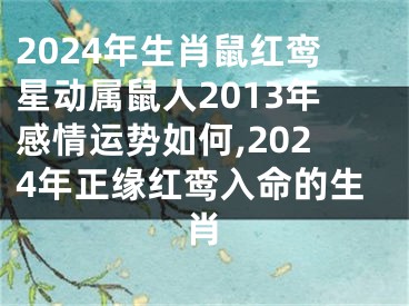 2024年生肖鼠红鸾星动属鼠人2013年感情运势如何,2024年正缘红鸾入命的生肖