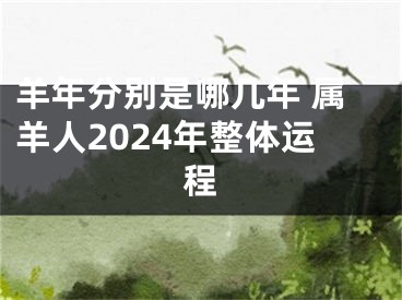 羊年分别是哪几年 属羊人2024年整体运程