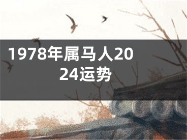 1978年属马人2024运势
