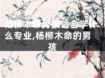杨柳木命男孩适合学什么专业,杨柳木命的男孩